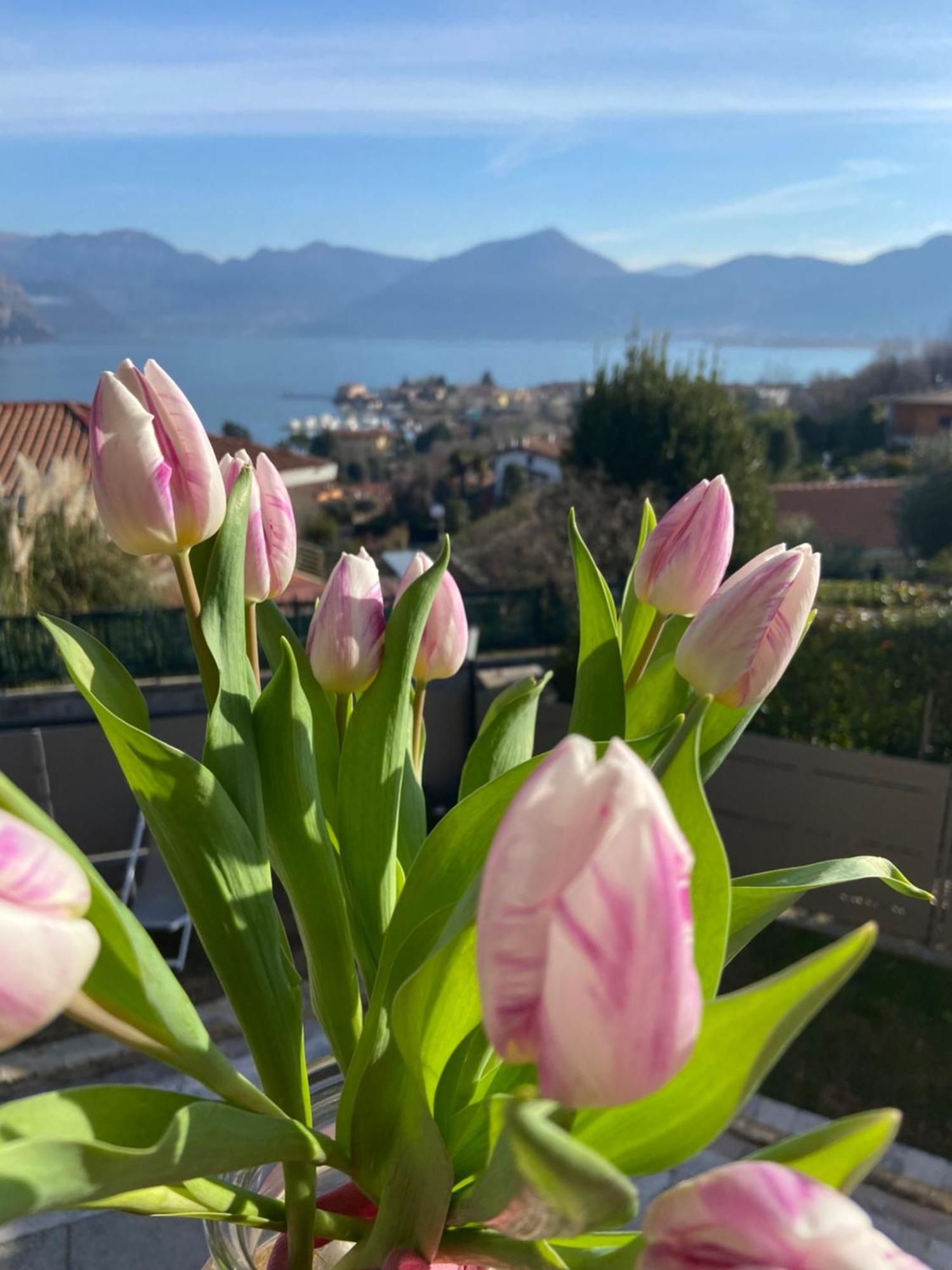 B&B Panorama Iseo Exteriör bild